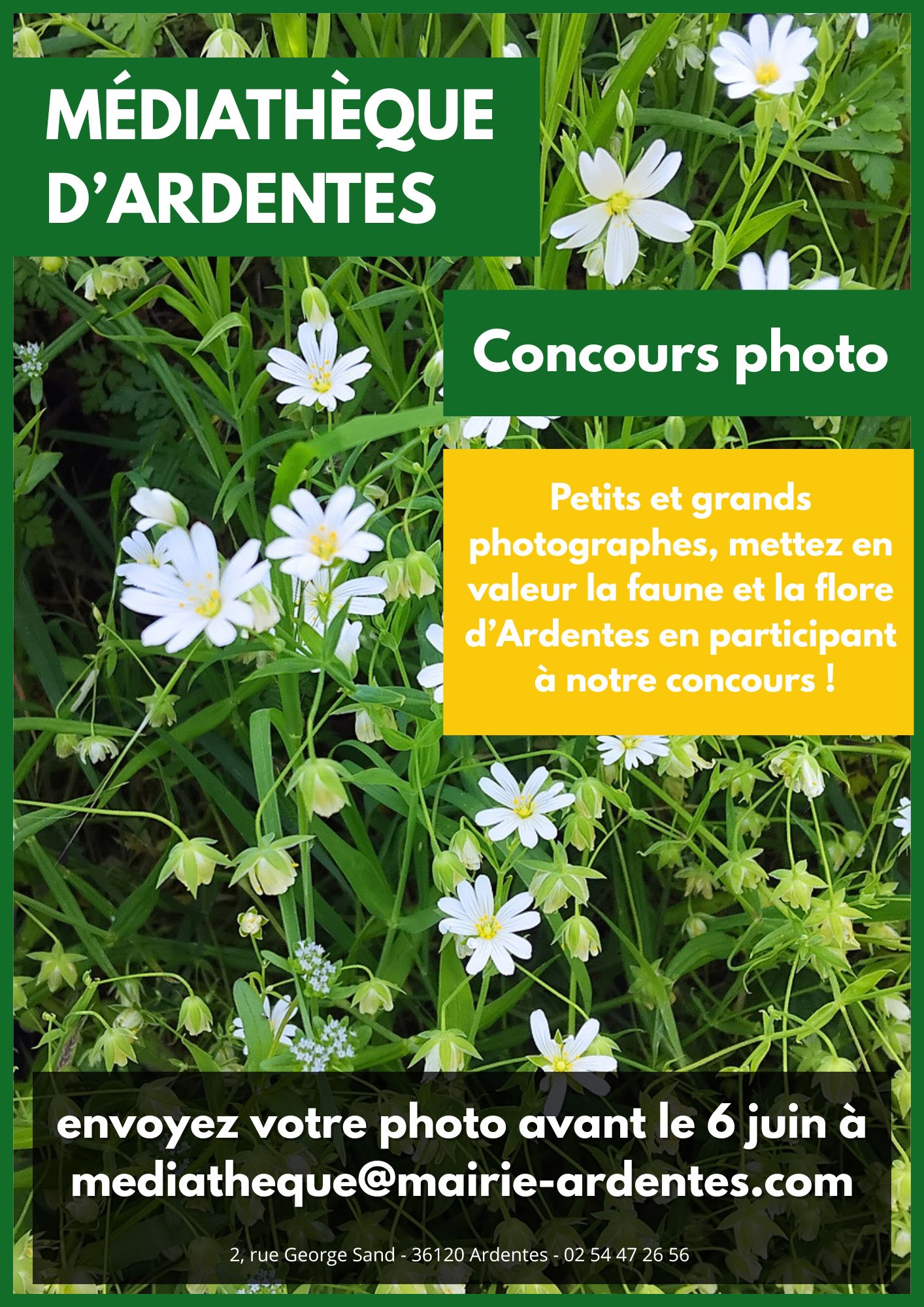 Concours photo